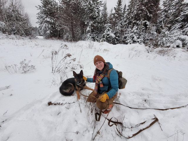 Dog Training - Search-and-rescue Tracking in Animal & Pet Services in Saint John