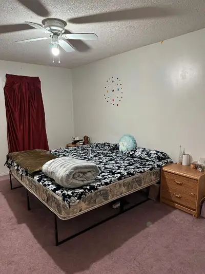 Female Room mate needed 15 July McLaughlin and Oaklea