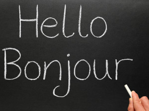 ONLINE FRENCH AND ENGLISH TUTORING - 16 YEARS OF EXPERIENCE in Tutors & Languages in City of Toronto