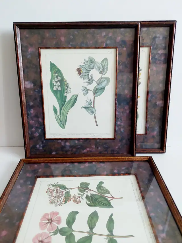 3 'Edwards Botanicals' prints, by Bombay Compa in Home Décor & Accents in Hamilton - Image 8