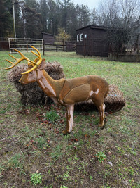 Archery targets  