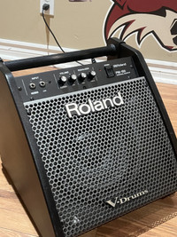 Roland Pm-100 Drum Amp