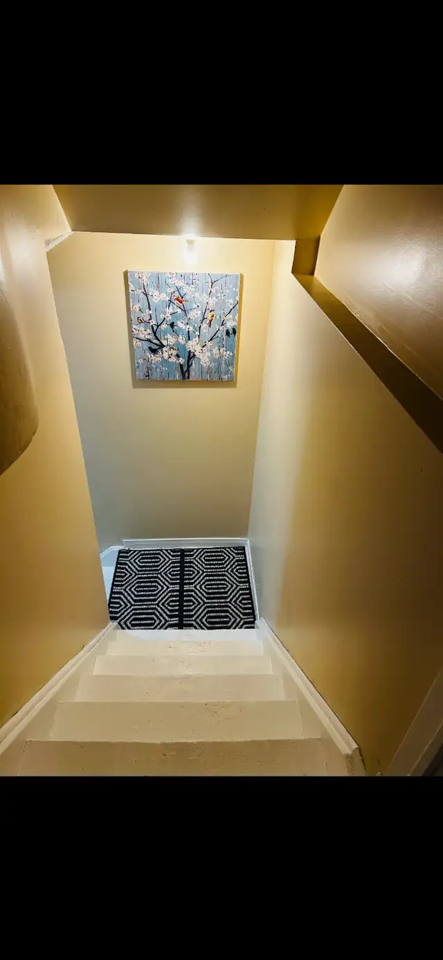 Basement for Rent63860084163843123