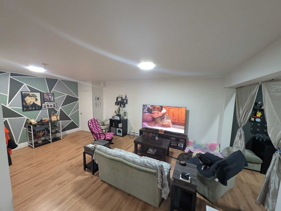 large 3.5. PETS ACCEPTED 3
