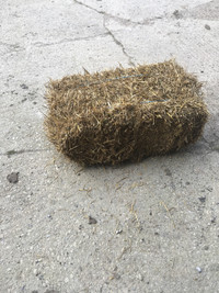 Small square bales wheat straw