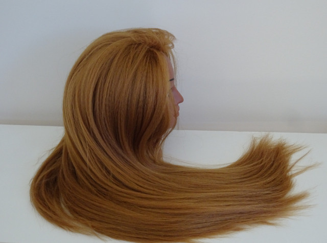ARE YOU READY TO MASTER THE ART OF WIG MAKING? in Other in City of Halifax - Image 4
