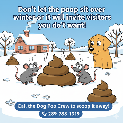 Dog Waste Cleanup Service – Local & Reliable, View more