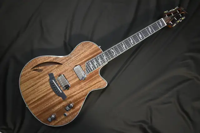 CARAYA MULTISPECIALIST III GUITAR in Guitars in Dartmouth - Image 3