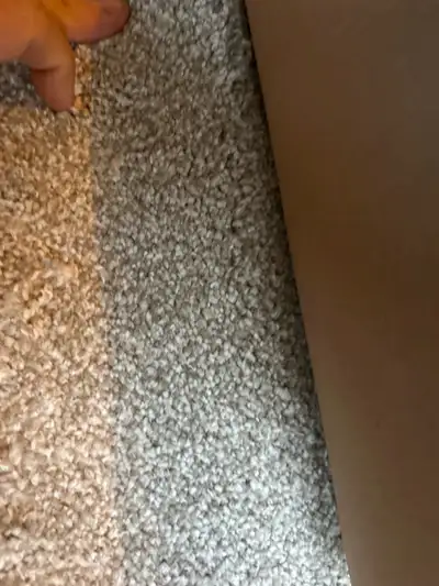  brand new Carpet 50 oz 12x12 , View more