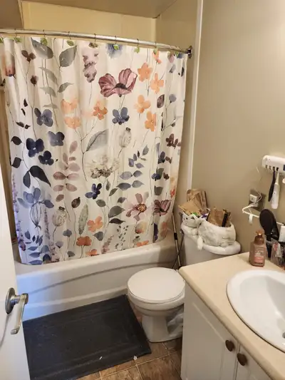 Fully furnished( more furniture added since pictures were taken) room in a two bedroom northview apa...