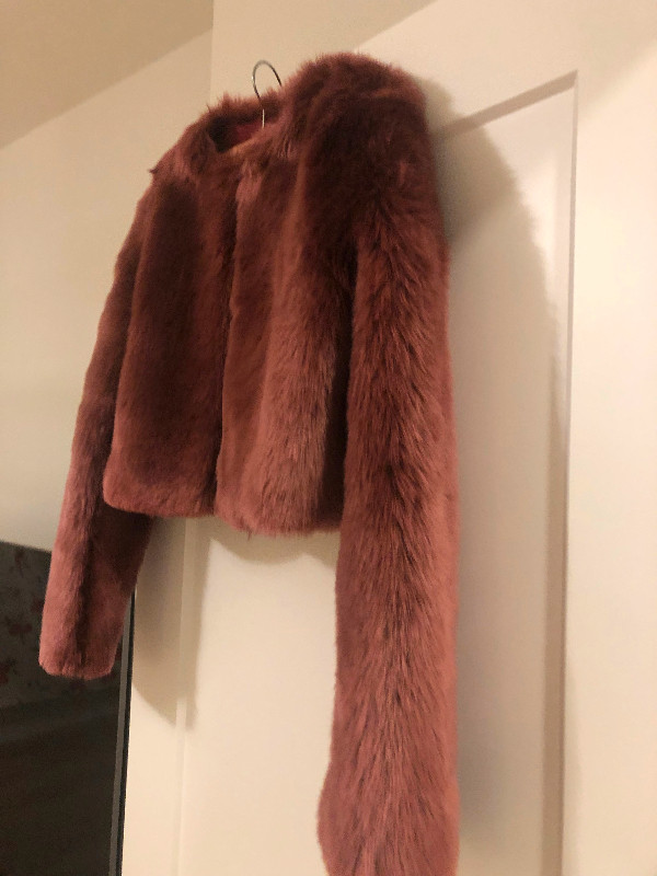 Babaton Special Occasion Fur coat - size small in Women's - Tops & Outerwear in Calgary - Image 4