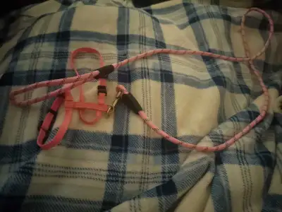 Pink Dog Harness and Leash Set, View more