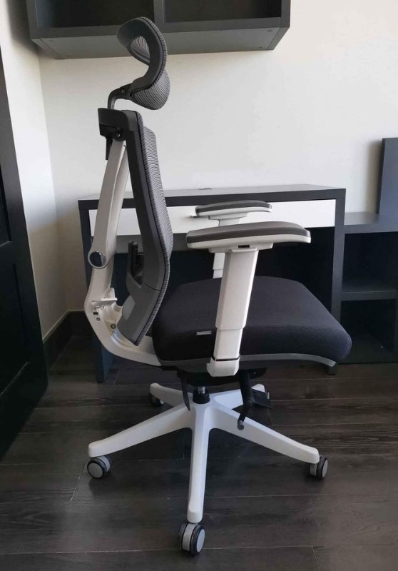 Autonomous ErgoChair Pro Ergonomic Office Chair Like New! Chairs