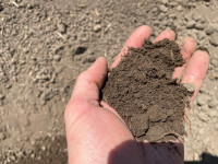 Screened Top Soil