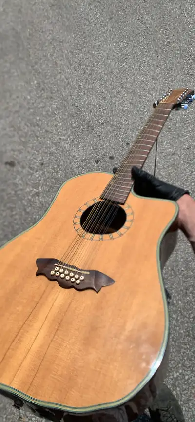 Washburn 12 string guitar w/ built in pickup , View more