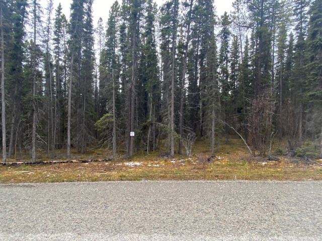 Lot 4 Sawmill Road - Village of Teslin in Land for Sale in Whitehorse - Image 3