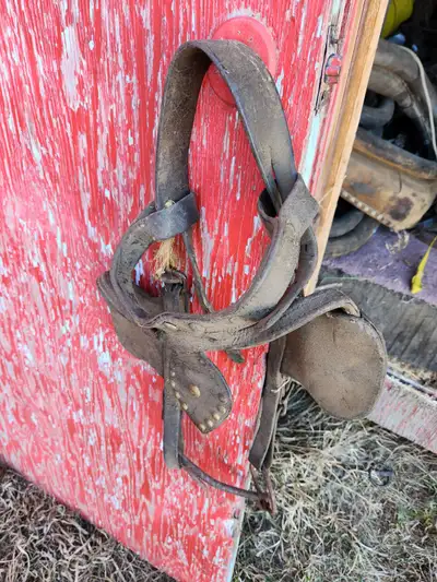 Vintage / Antique bridles, View more