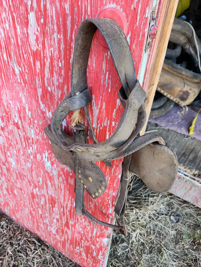 Vintage / Antique bridles in Arts & Collectibles in Meadow Lake - Image 2