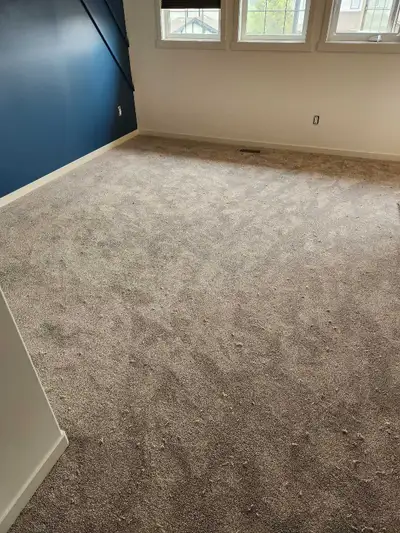 CARPET INSTALLATION AND REPAIR, View more