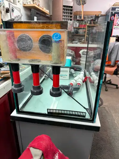 75 gal reef aquarium with custom stand, View more