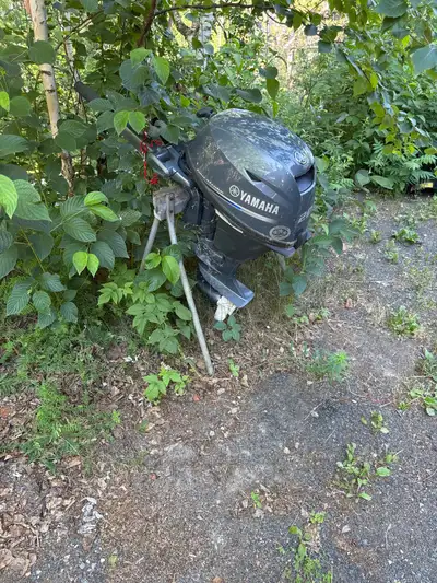 Yamaha F20SMHA