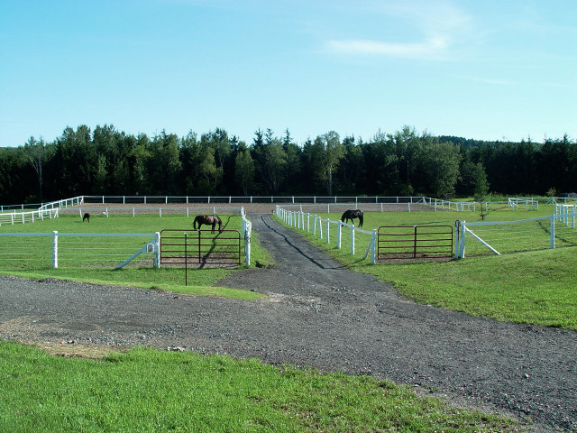 Hobby farm with stable and indoor arena dans Maisons à vendre  à Sherbrooke - Image 3