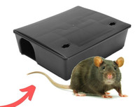 Rodents Rats Mice Bait Boxes 519-584-4977