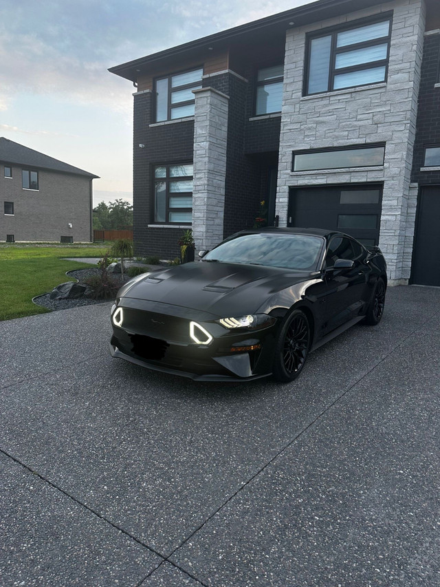 2019 Mustang GT Premium in Cars & Trucks in Windsor Region
