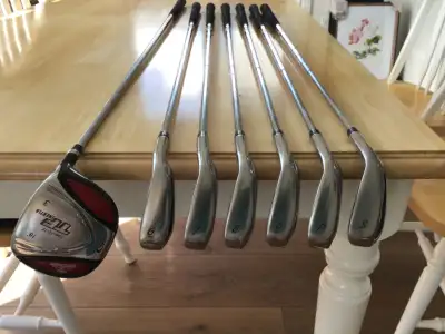 Top Flite golf clubs 6-7-8-9 pw-sw 3Metal and Top Flite bag, View more