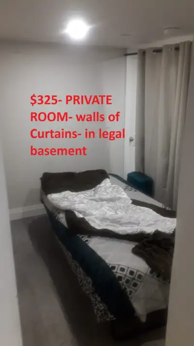 ROOM IN THE LEGAL BASEMENT, FULL OF SUNLIGHT AND WINDOWS