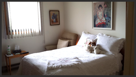 55 plus seniors building 1 bedroom suites Osborne Village