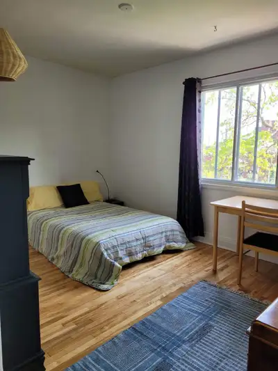 Chambre à louer