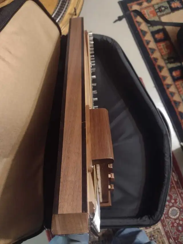 Autoharps in String in Ottawa - Image 3