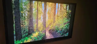 50" LG 1080p TV, View more