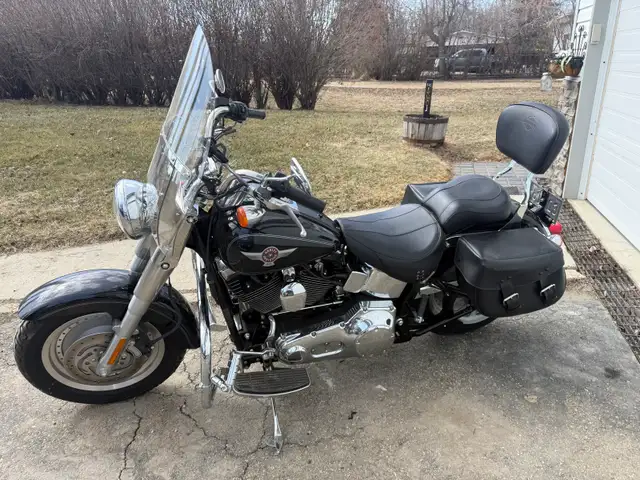 Reduced Price 2005 Harley Fatboy 6,819 kms Moving Must Sell in Street, Cruisers & Choppers in Red Deer - Image 3