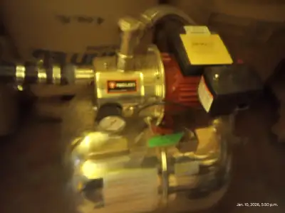 Red Lion shallow well pump, View more