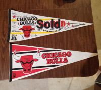 Chicago Bulls NBA Team Pennant 1988