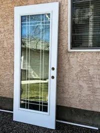 32”x80” Exterior Metal Door W/Tri-pane Glass
