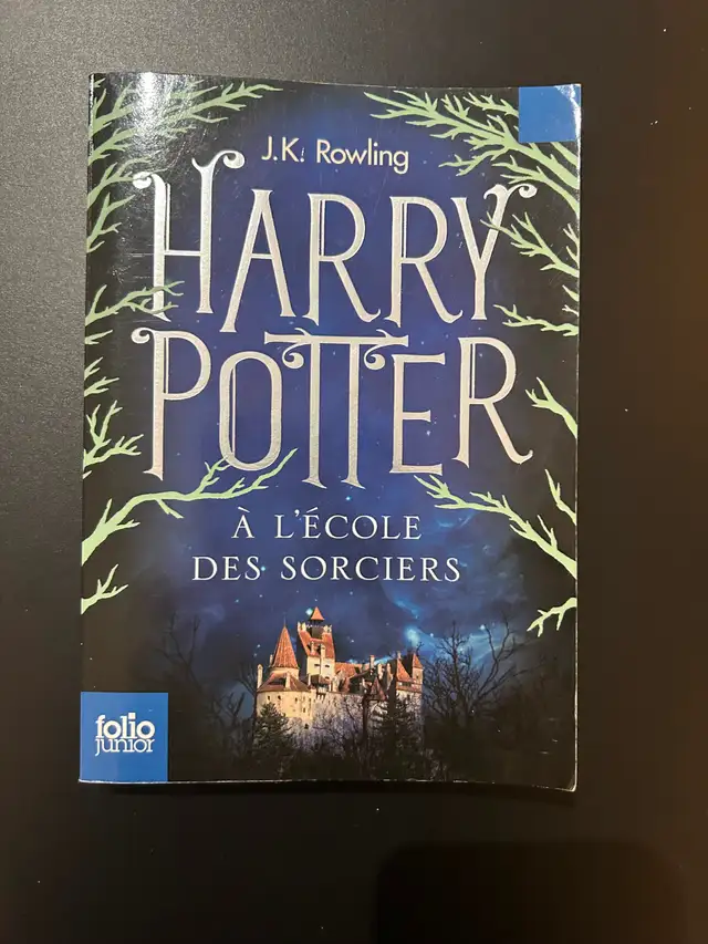 Harry Potter à l'école des sorciers in Children & Young Adult in Longueuil / South Shore - Image 2