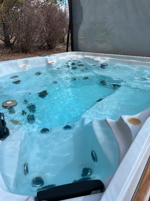Hot Tub for sale in Hot Tubs & Pools in Regina - Image 2