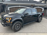 2019 Ford Raptor 