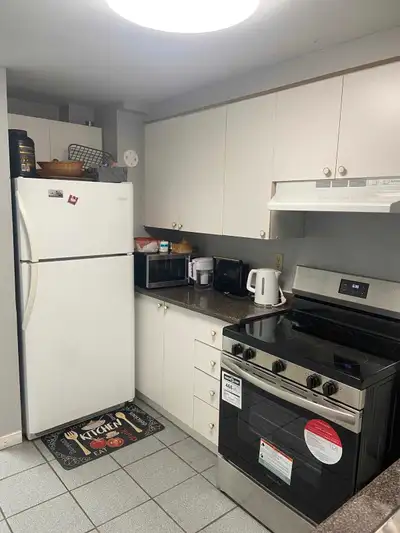 Basement for rent