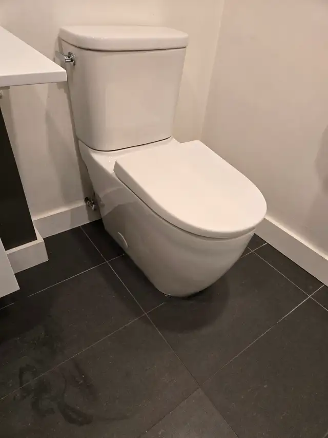 Licenced Plumber401208313748531203