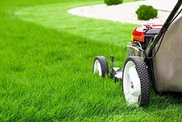 grass cutting and landscaping