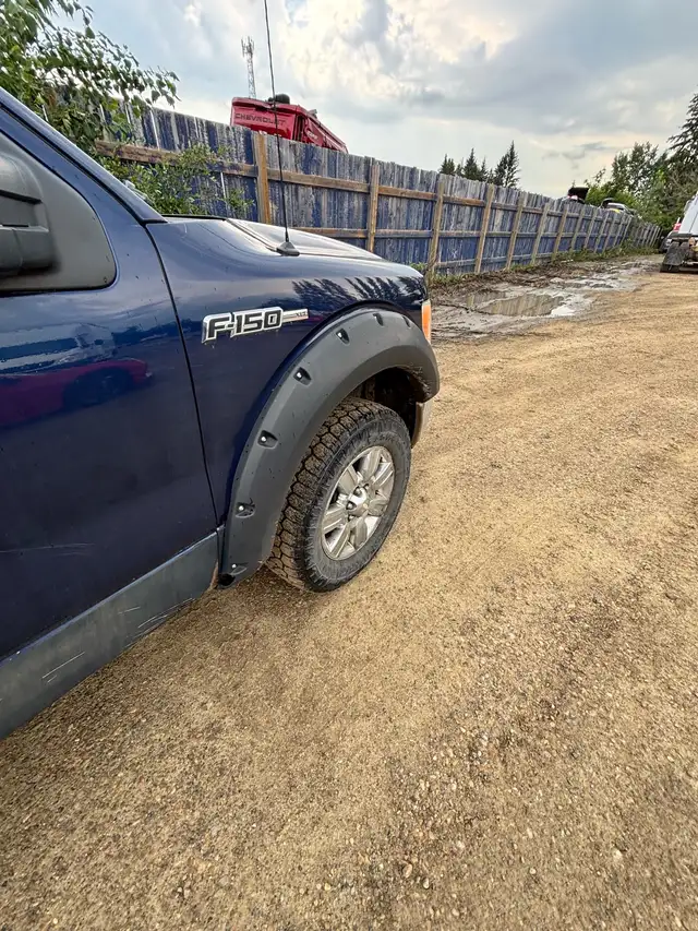 2009 Ford F150 XLT525767036791040009