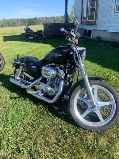 2006 Harley-Davidson, Sportster 883. This bike only has 8626km, LED blue under carriage light, tons...