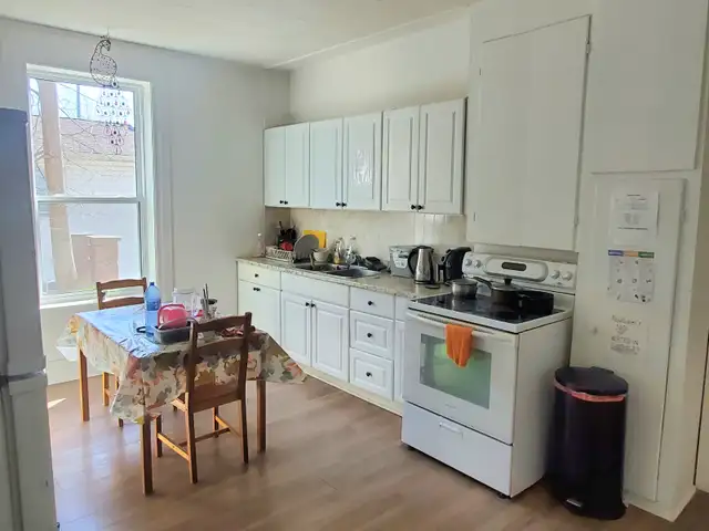 One room for rent – immediate - female students only in Room Rentals & Roommates in Peterborough - Image 4
