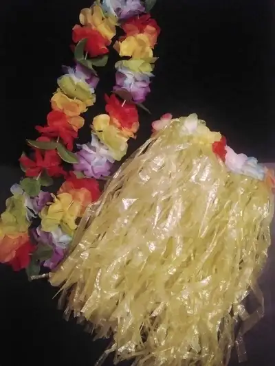 《 Hawaiian Costume 》, View more