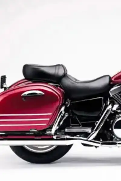 New Kawasaki Genuine Parts Vulcan 1500 chrome right side rear saddle bag guard grab bar oem # 55020-...