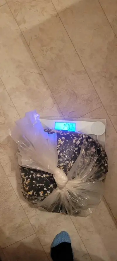 Aquarium Gravel (mixed), View more